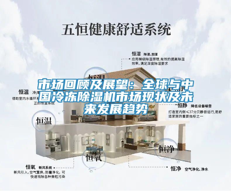 市場回顧及展望：全球與中國冷凍除濕機市場現狀及未來發展趨勢