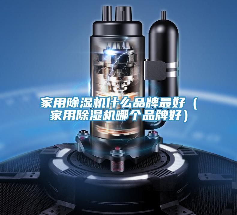 家用除濕機(jī)什么品牌最好(家用除濕機(jī)哪個(gè)品牌好)