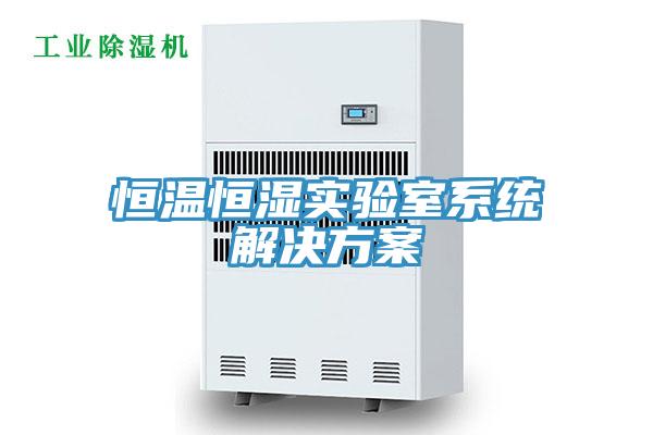 恒溫恒濕實驗室系統解決方案