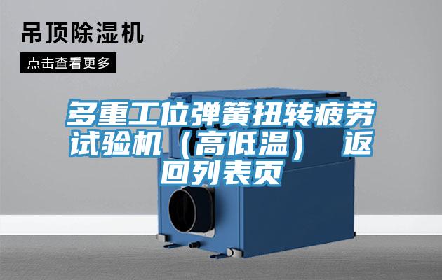 多重工位彈簧扭轉疲勞試驗機（高低溫） 返回列表頁