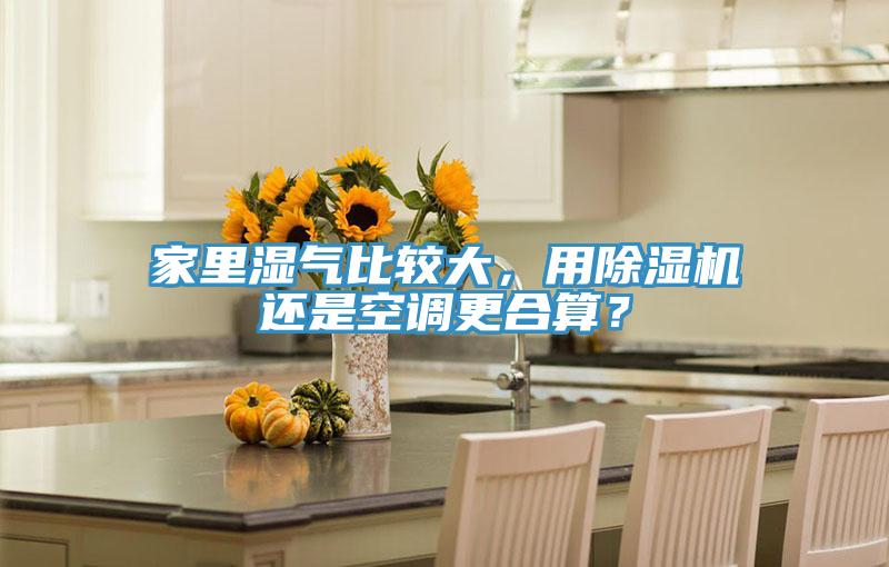 家里濕氣比較大，用除濕機(jī)還是空調(diào)更合算？