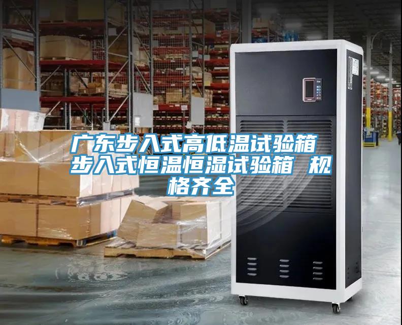 廣東步入式高低溫試驗(yàn)箱 步入式恒溫恒濕試驗(yàn)箱 規(guī)格齊全