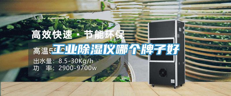 工業除濕儀哪個牌子好