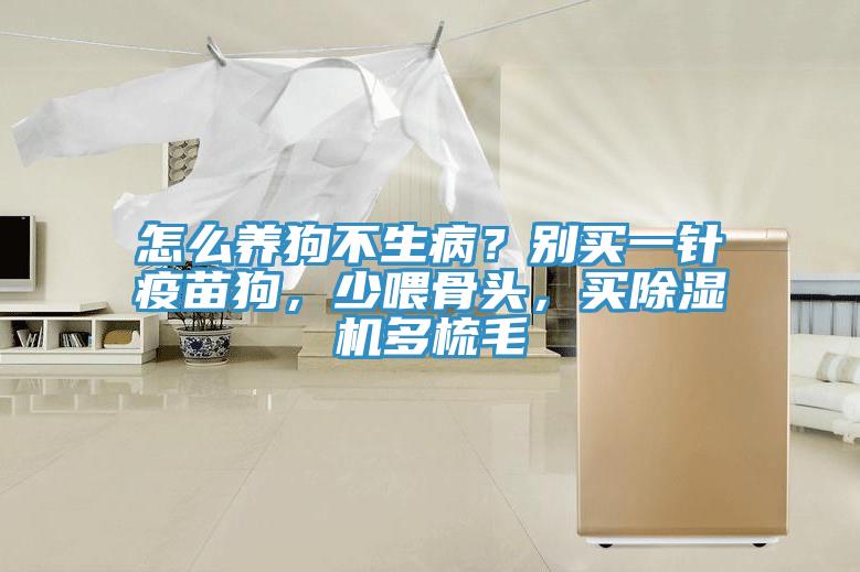 怎么養(yǎng)狗不生病？別買一針疫苗狗，少喂骨頭，買除濕機多梳毛