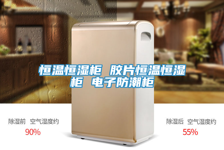 恒溫恒濕柜 膠片恒溫恒濕柜 電子防潮柜