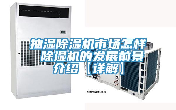 抽濕除濕機市場怎樣 除濕機的發(fā)展前景介紹【詳解】