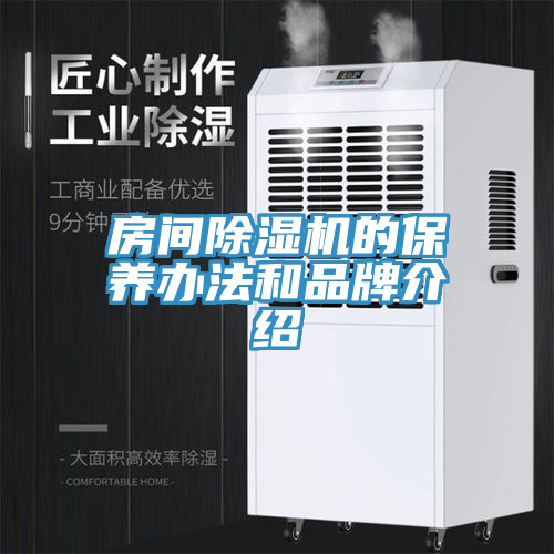 房間除濕機(jī)的保養(yǎng)辦法和品牌介紹