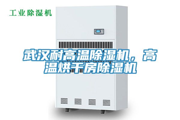 武漢耐高溫除濕機，高溫烘干房除濕機