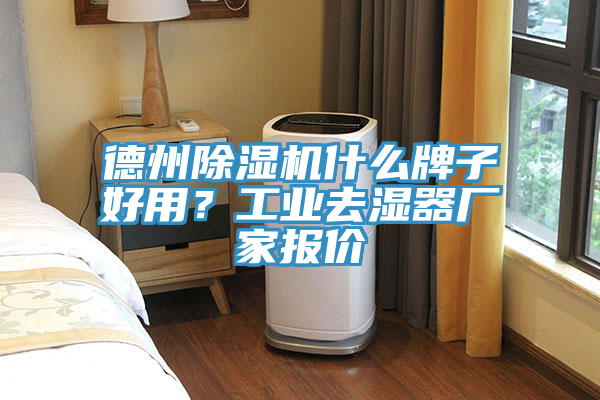 德州除濕機(jī)什么牌子好用？工業(yè)去濕器廠家報(bào)價(jià)