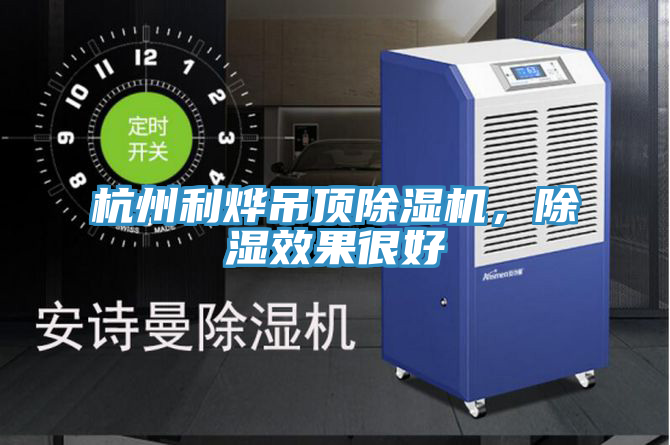 杭州利燁吊頂除濕機，除濕效果很好