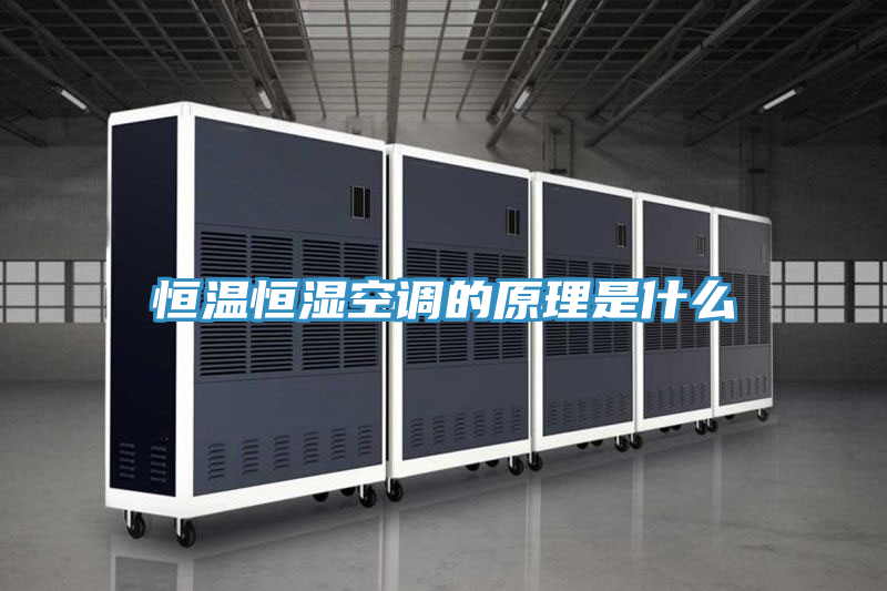 恒溫恒濕空調(diào)的原理是什么
