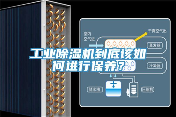 工業除濕機到底該如何進行保養？