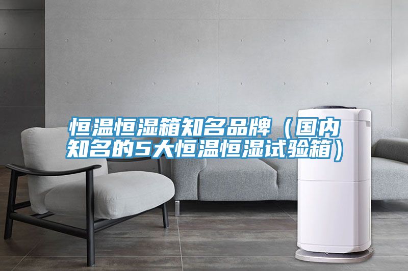 恒溫恒濕箱知名品牌（國內知名的5大恒溫恒濕試驗箱）