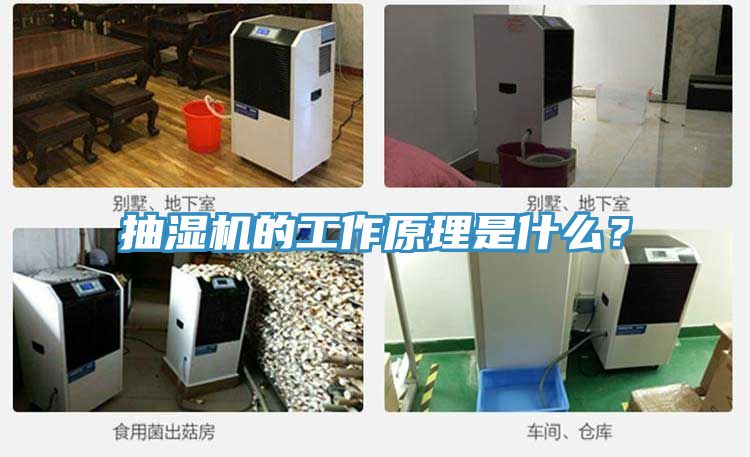 抽濕機的工作原理是什么？