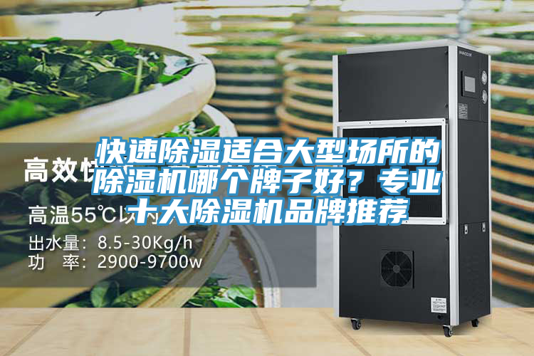 快速除濕適合大型場(chǎng)所的除濕機(jī)哪個(gè)牌子好？專業(yè)十大除濕機(jī)品牌推薦