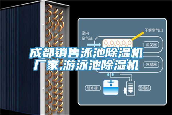 成都銷售泳池除濕機(jī)廠家,游泳池除濕機(jī)