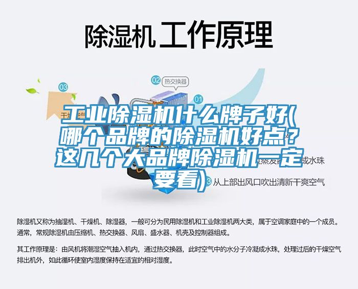 工業除濕機什么牌子好(哪個品牌的除濕機好點？這幾個大品牌除濕機一定要看)