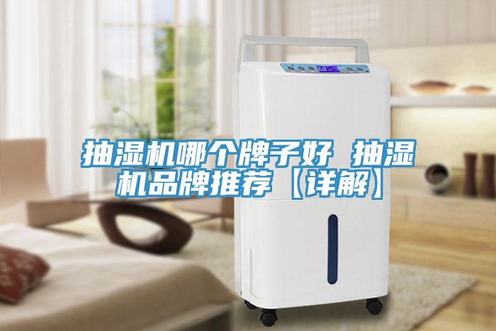 抽濕機哪個牌子好 抽濕機品牌推薦【詳解】