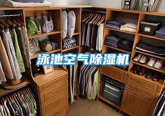 泳池空氣除濕機