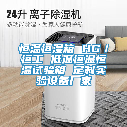恒溫恒濕箱 HG／恒工 低溫恒溫恒濕試驗箱 定制實驗設備廠家
