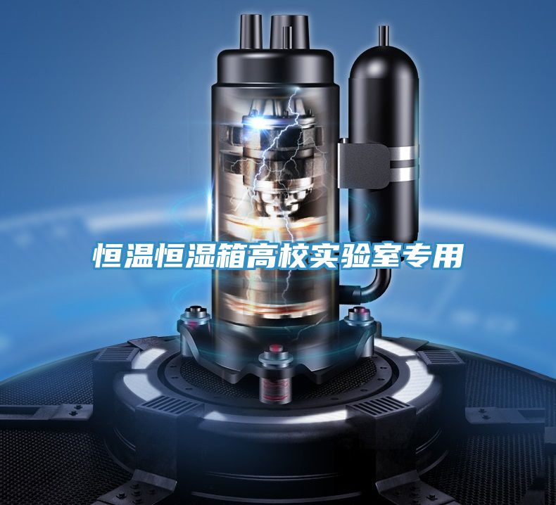 恒溫恒濕箱高校實驗室專用