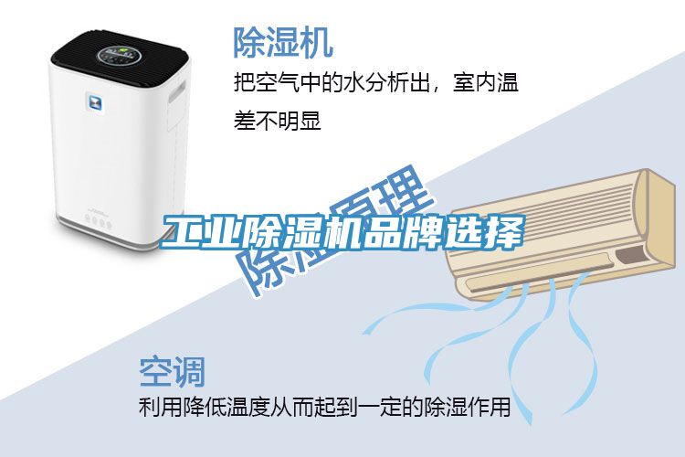 工業(yè)除濕機(jī)品牌選擇