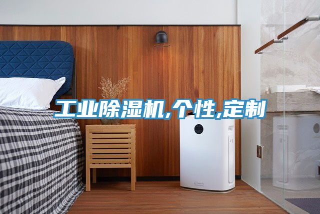 工業除濕機,個性,定制