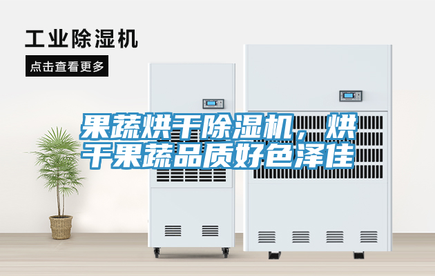 果蔬烘干除濕機(jī),烘干果蔬品質(zhì)好色澤佳