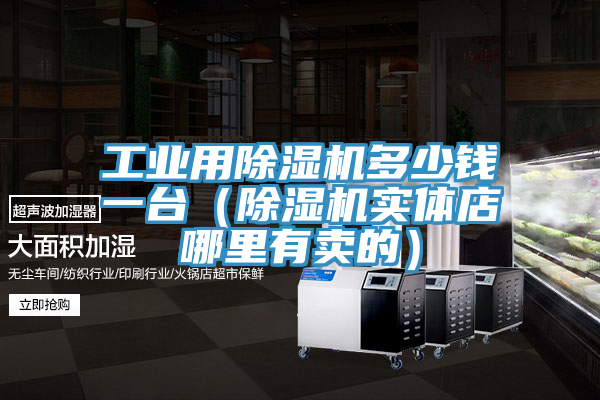 工業用除濕機多少錢一臺(除濕機實體店哪里有賣的)