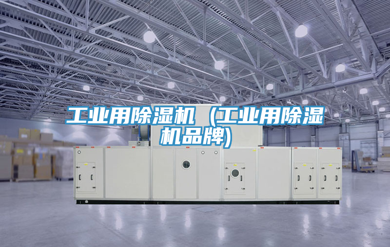 工業用除濕機 (工業用除濕機品牌)