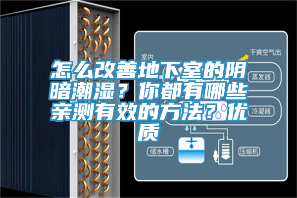 怎么改善地下室的陰暗潮濕？你都有哪些親測有效的方法？優質
