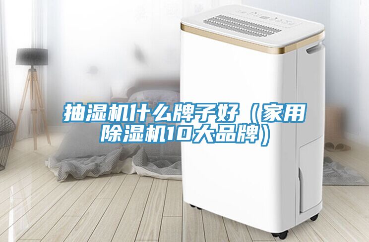 抽濕機什么牌子好（家用除濕機10大品牌）