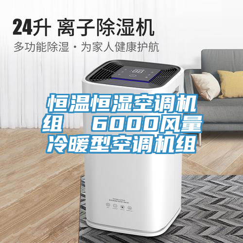 恒溫恒濕空調(diào)機組  6000風量冷暖型空調(diào)機組
