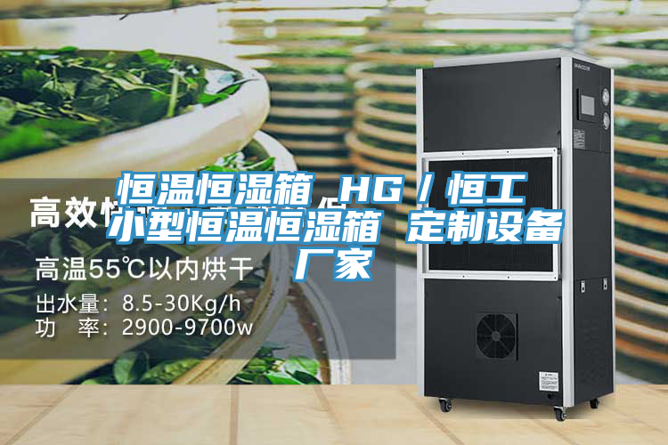 恒溫恒濕箱 HG／恒工 小型恒溫恒濕箱 定制設備廠家