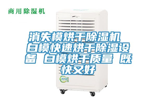 消失模烘干除濕機 白?？焖俸娓沙凉裨O備 白模烘干質量 既快又好