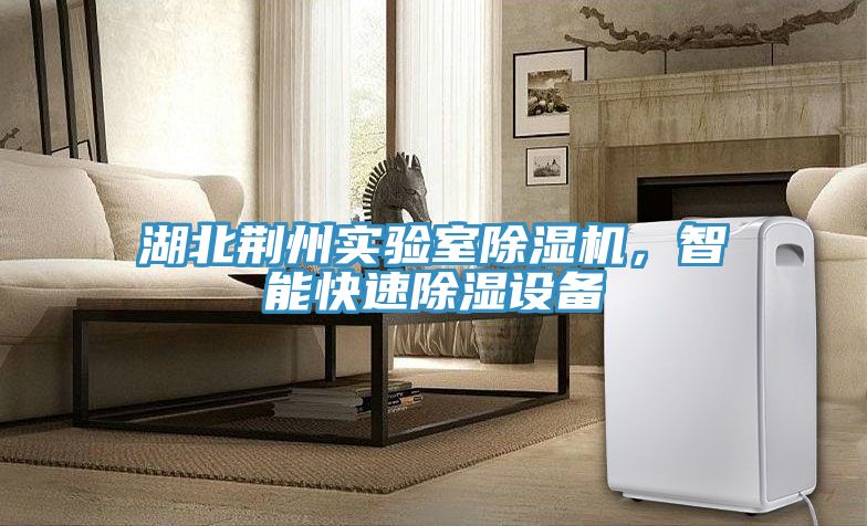 湖北荊州實驗室除濕機，智能快速除濕設備