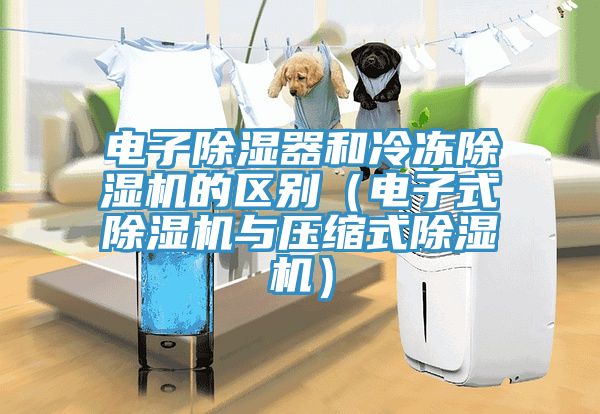 電子除濕器和冷凍除濕機的區別(電子式除濕機與壓縮式除濕機)