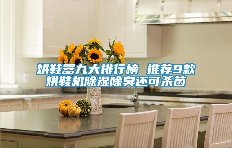 烘鞋器九大排行榜 推薦9款烘鞋機除濕除臭還可殺菌