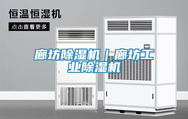 廊坊除濕機|廊坊工業除濕機