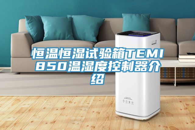 恒溫恒濕試驗箱TEMI850溫濕度控制器介紹