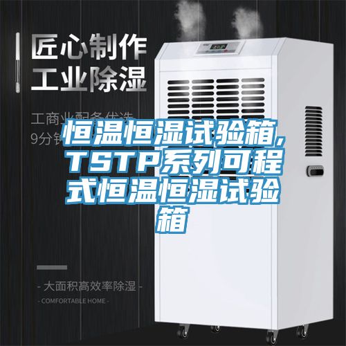 恒溫恒濕試驗箱,TSTP系列可程式恒溫恒濕試驗箱