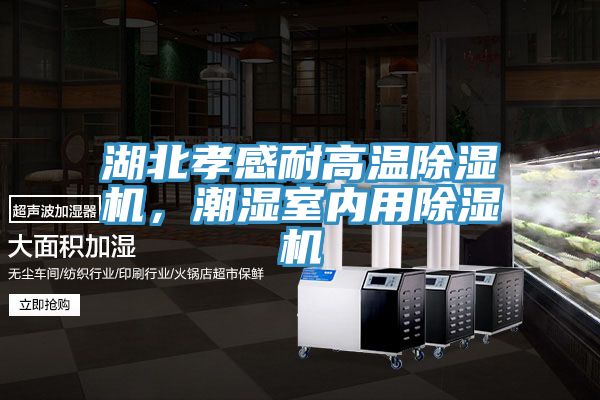 湖北孝感耐高溫除濕機，潮濕室內用除濕機
