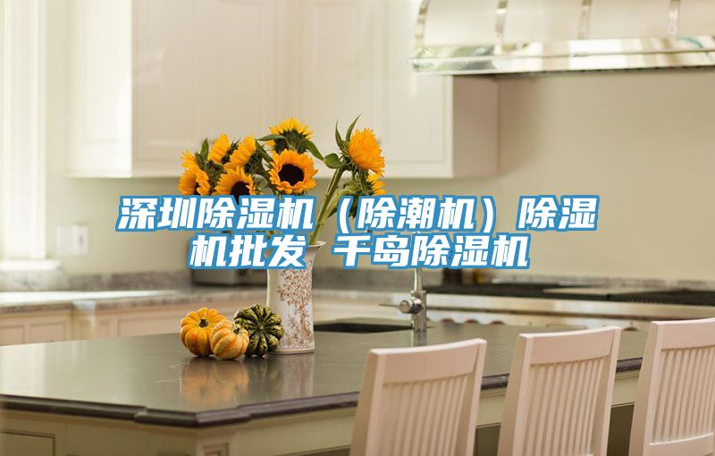 深圳除濕機（除潮機）除濕機批發 千島除濕機