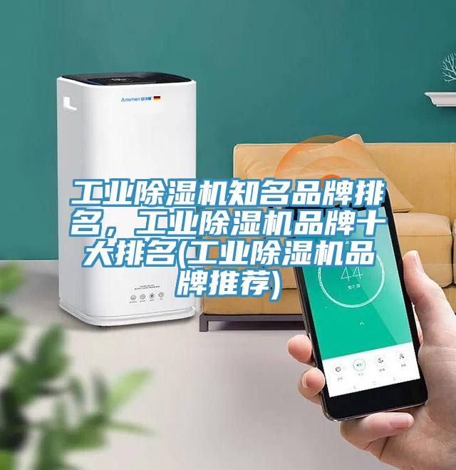 工業除濕機知名品牌排名，工業除濕機品牌十大排名(工業除濕機品牌推薦)