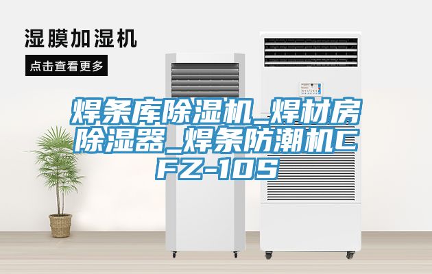 焊條庫除濕機_焊材房除濕器_焊條防潮機CFZ-10S