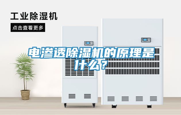 電滲透除濕機的原理是什么?