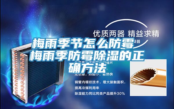 梅雨季節怎么防霉 梅雨季防霉除濕的正確方法