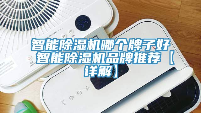 智能除濕機哪個牌子好 智能除濕機品牌推薦【詳解】