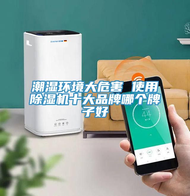 潮濕環境大危害 使用除濕機十大品牌哪個牌子好