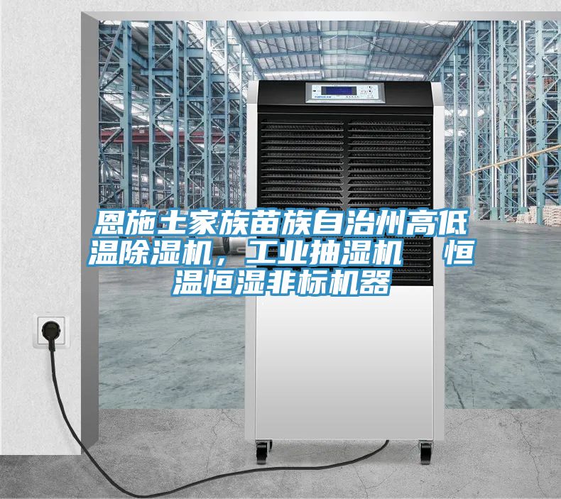 恩施土家族苗族自治州高低溫除濕機，工業抽濕機  恒溫恒濕非標機器
